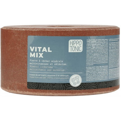 HIPPOTONIC Salzleckstein - Vitalmix