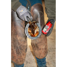 Kevin Bacon's Hufpflege Hoof Solution