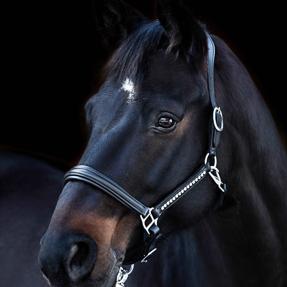 Lederhalfter Lovely