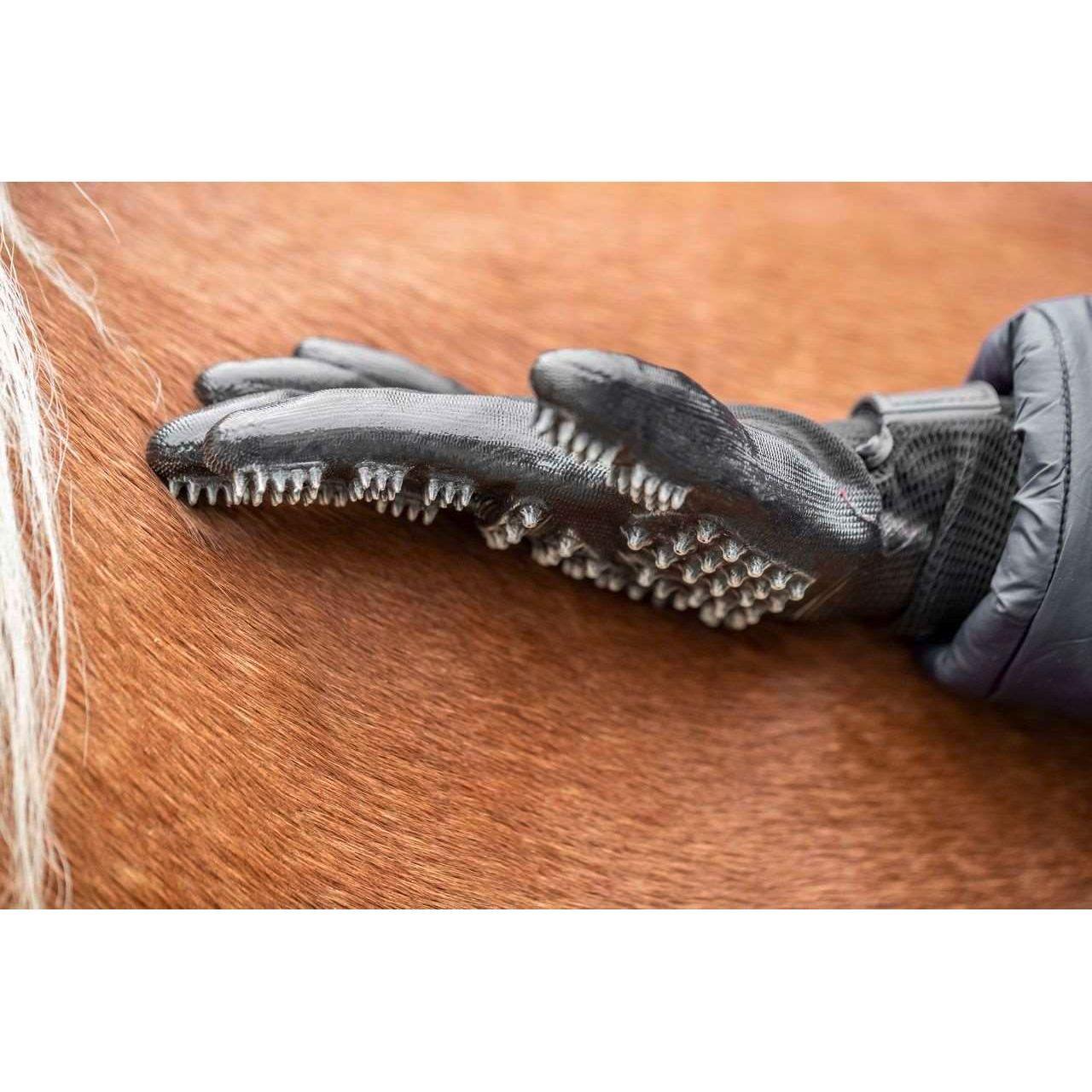 Putzhandschuh