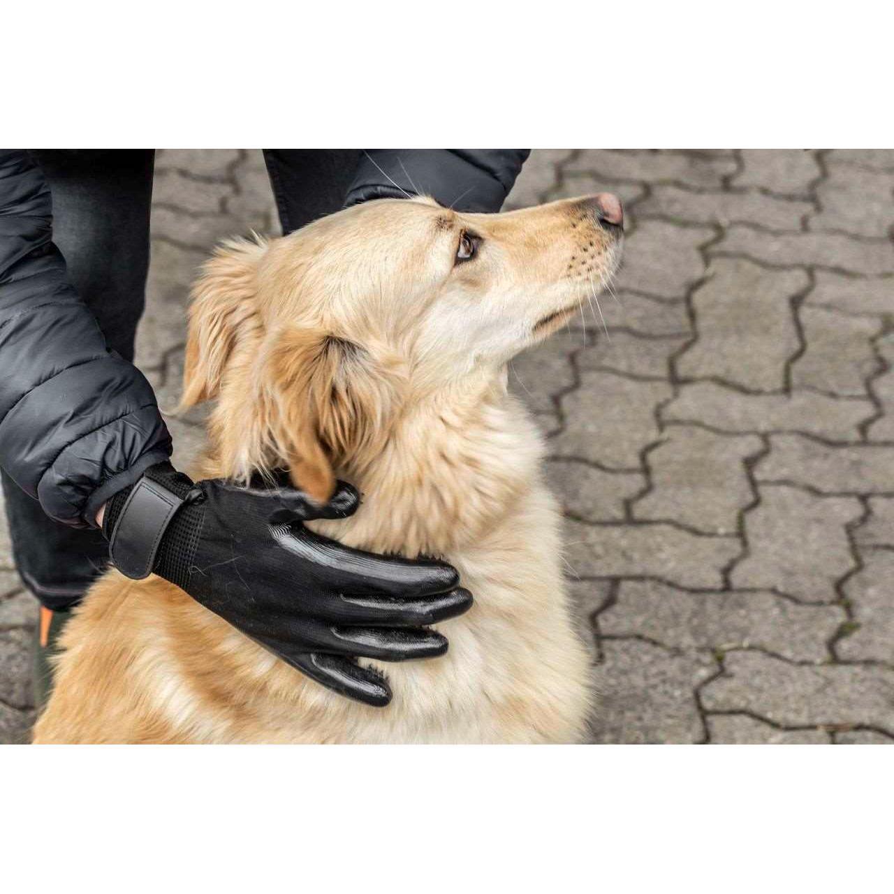 Putzhandschuh