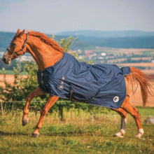 HorSeven Regendecke