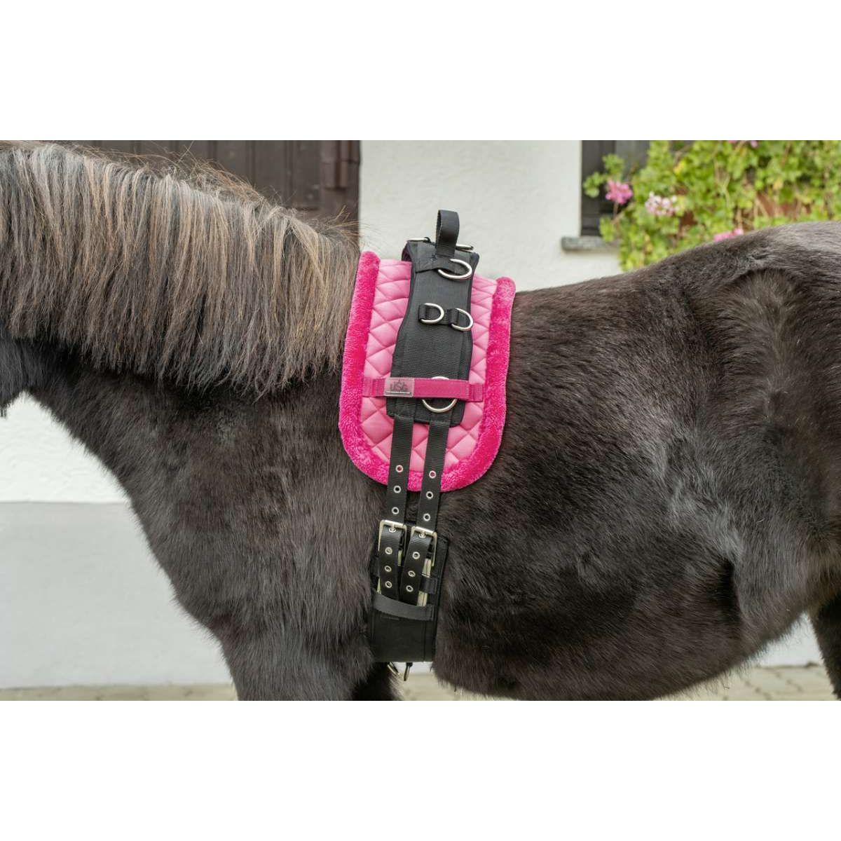 USG Mini-Shetty Longiergurt, schwarz
