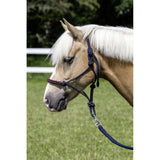 Knotenhalfter Glitzersteine