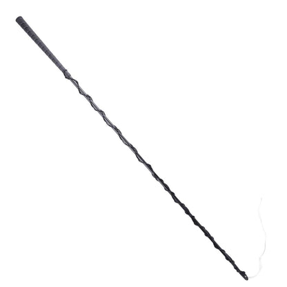USG TELESKOPPEITSCHE, SCHWARZ 2m