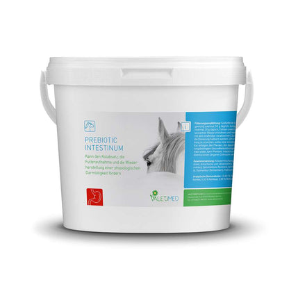 Valetumed Prebiotic Intestinum