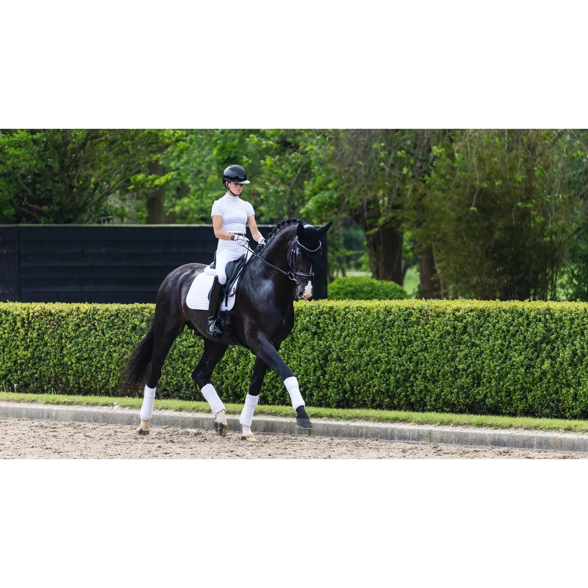 Dark Slate Gray Le Mieux Suede Dressage Square Schabracke