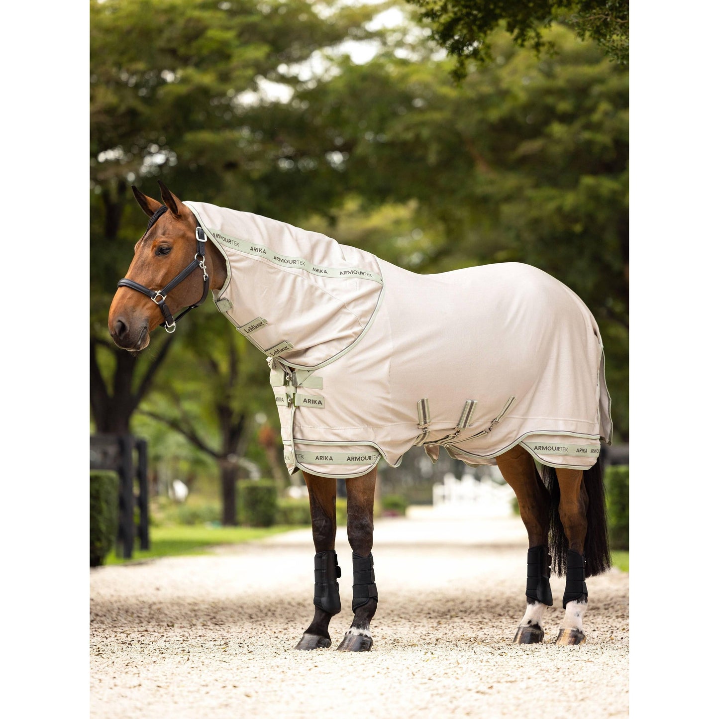 LeMieux Armour-Tek Fly Fliegendecke