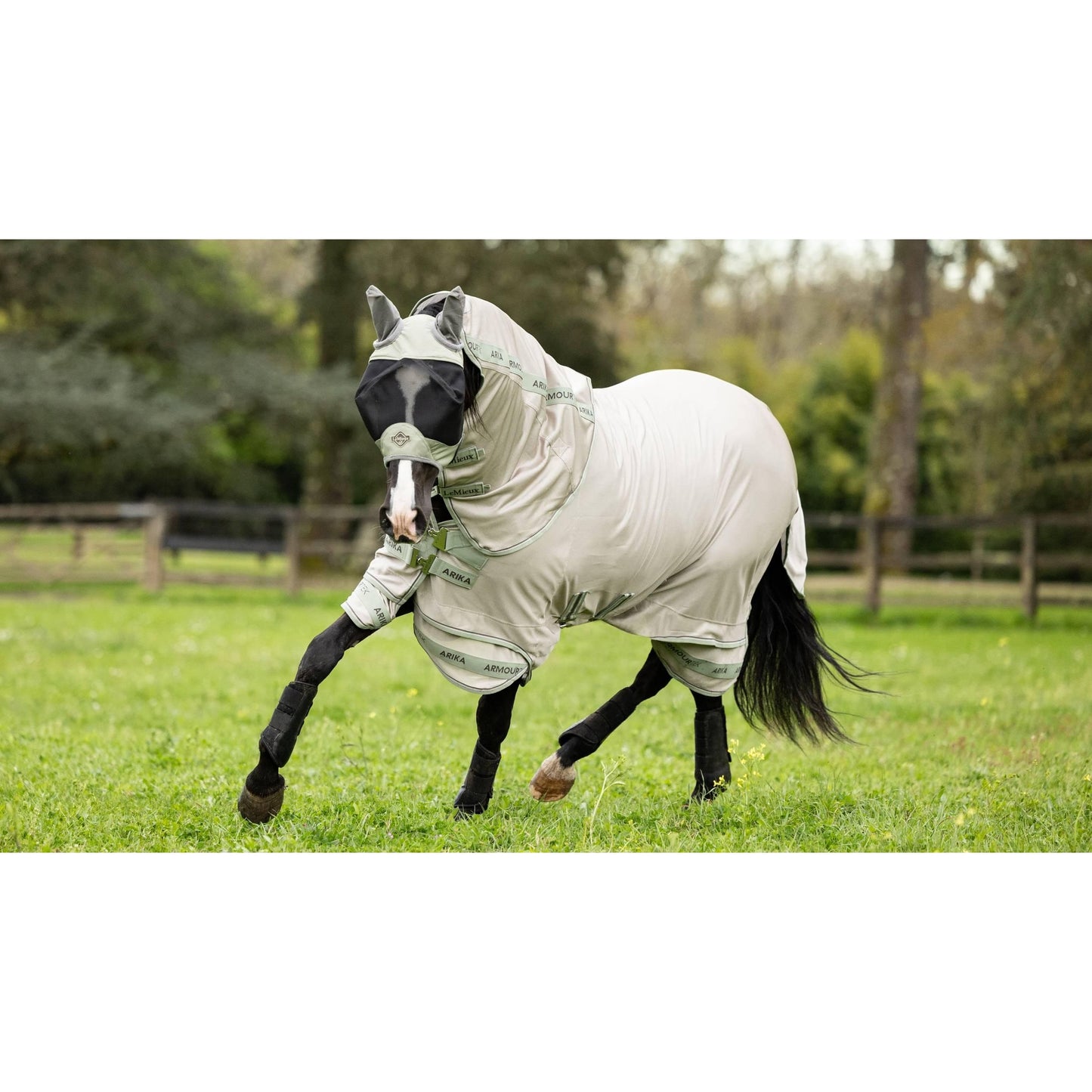 LeMieux Armour-Tek Fly Fliegendecke