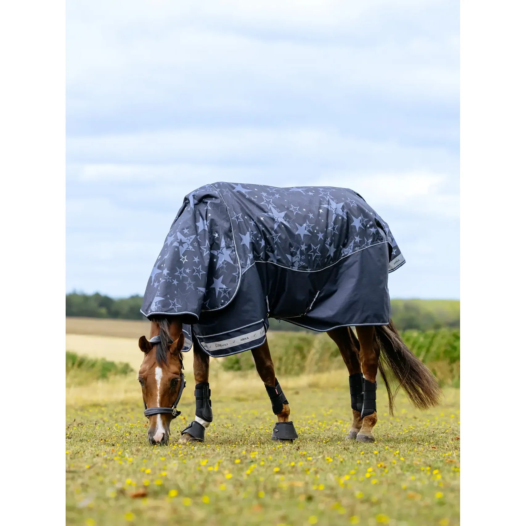 LeMieux Arika Star Turnout Rug 0g Navy - Kaster Cheval