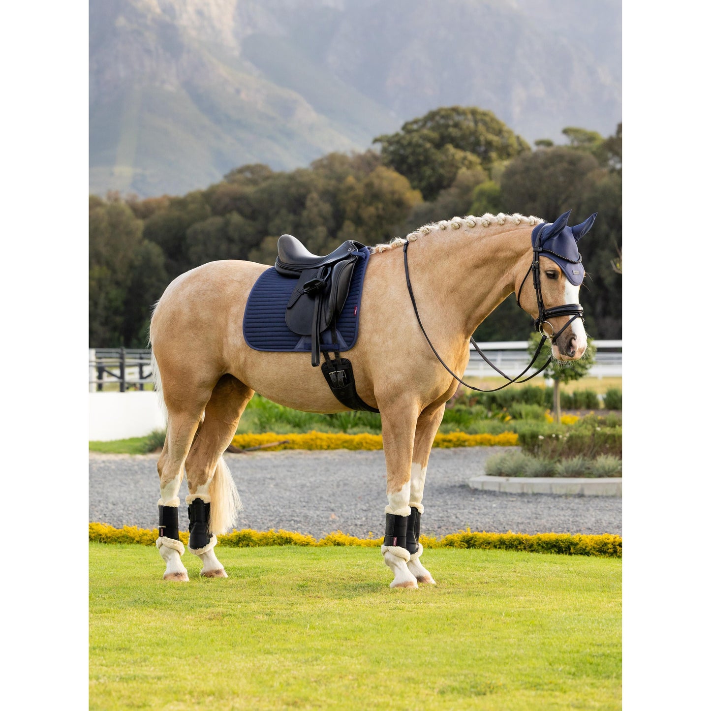 LeMieux Air-Tek Mesh Dressurschabracke
