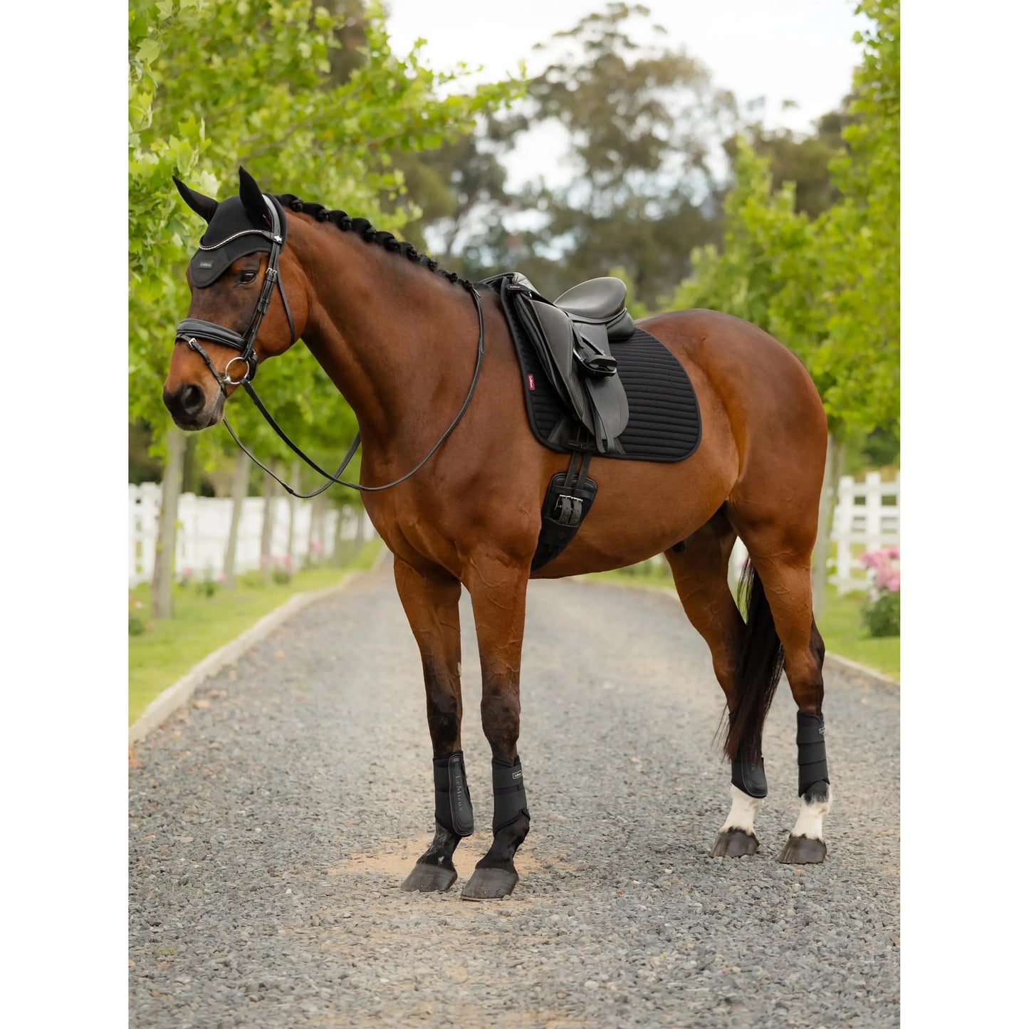 LeMieux Air-Tek Mesh Dressurschabracke