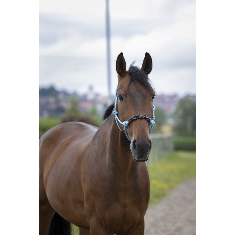 NORTON Knotenhalfter - Pearl - Kaster Cheval