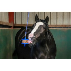 LIKIT - GranoLO - Leicht