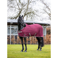 LMX Arika Air-Tek Rug