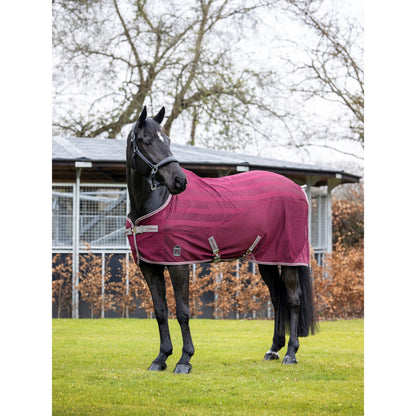 LMX Arika Air-Tek Rug