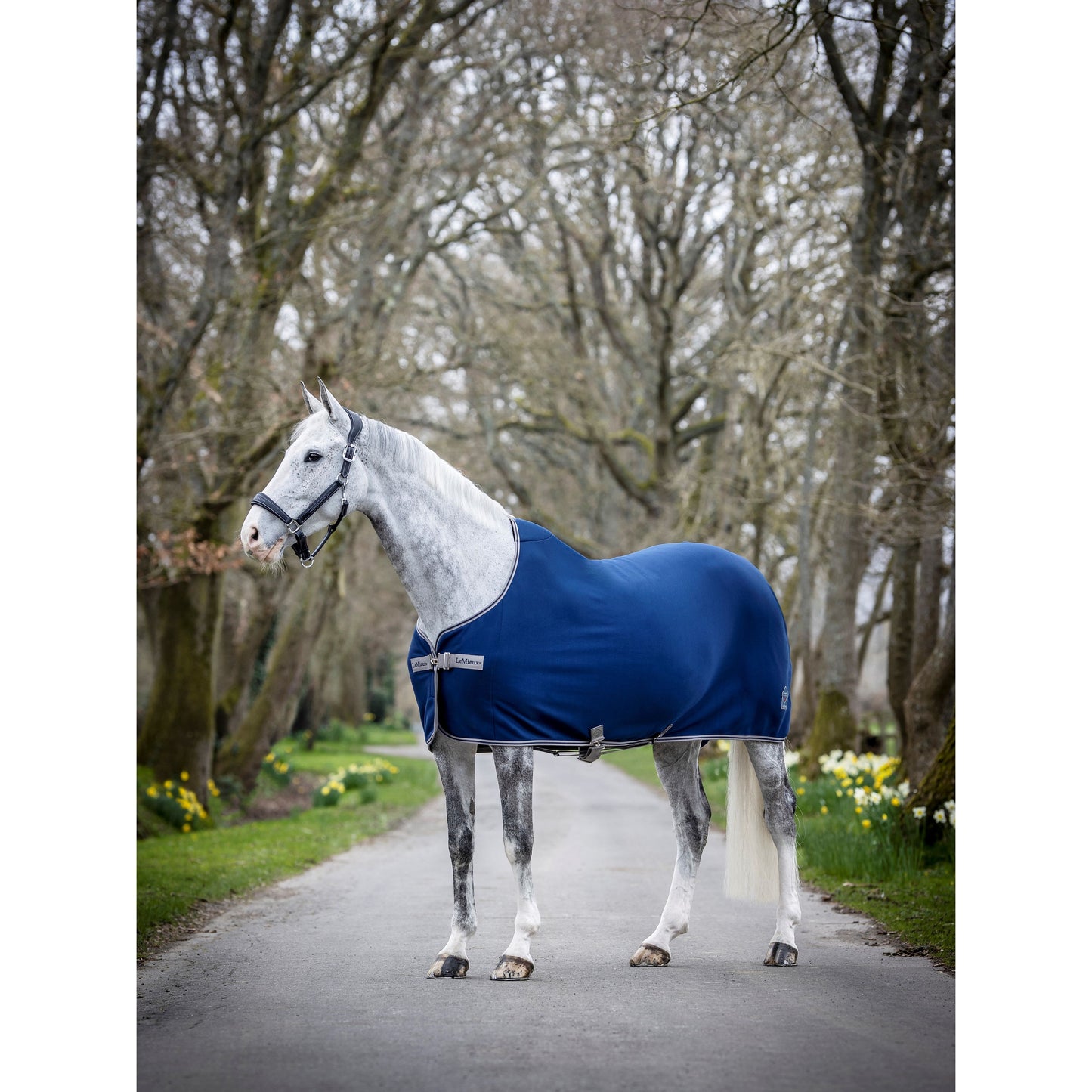 Dim Gray LMX Arika Jersey-Tek Rug
