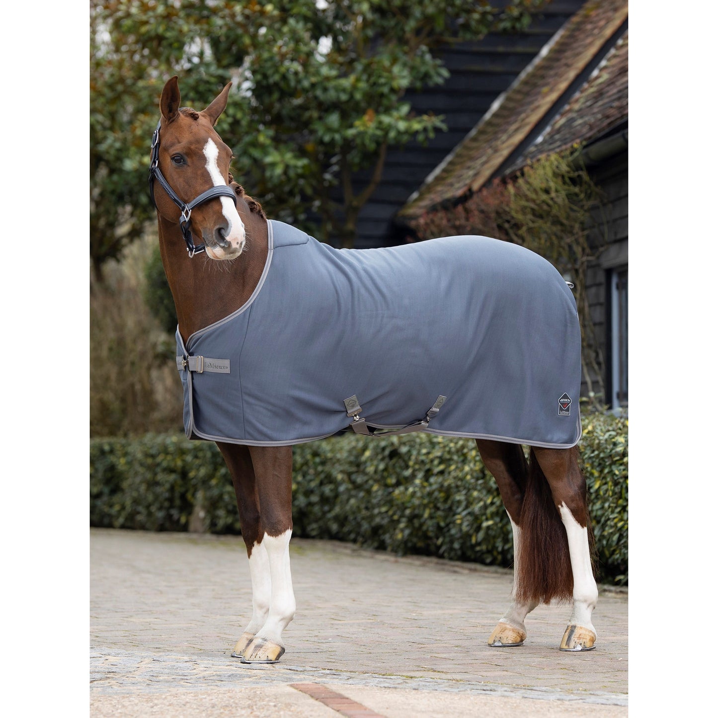 Dark Slate Gray LMX Arika Jersey-Tek Rug