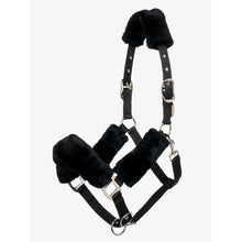 Le Mieux Comfort Halfter Schwarz