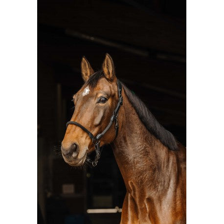 NORTON Leder-Seilhalfter