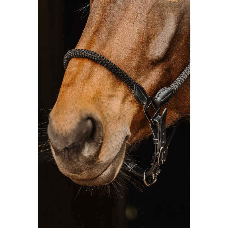 NORTON Leder-Seilhalfter