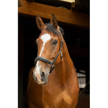 NORTON PRO anatomisches Halfter