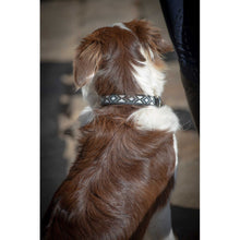 PENELOPE „Pearl" Hundehalsband