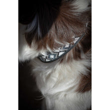 PENELOPE „Pearl" Hundehalsband