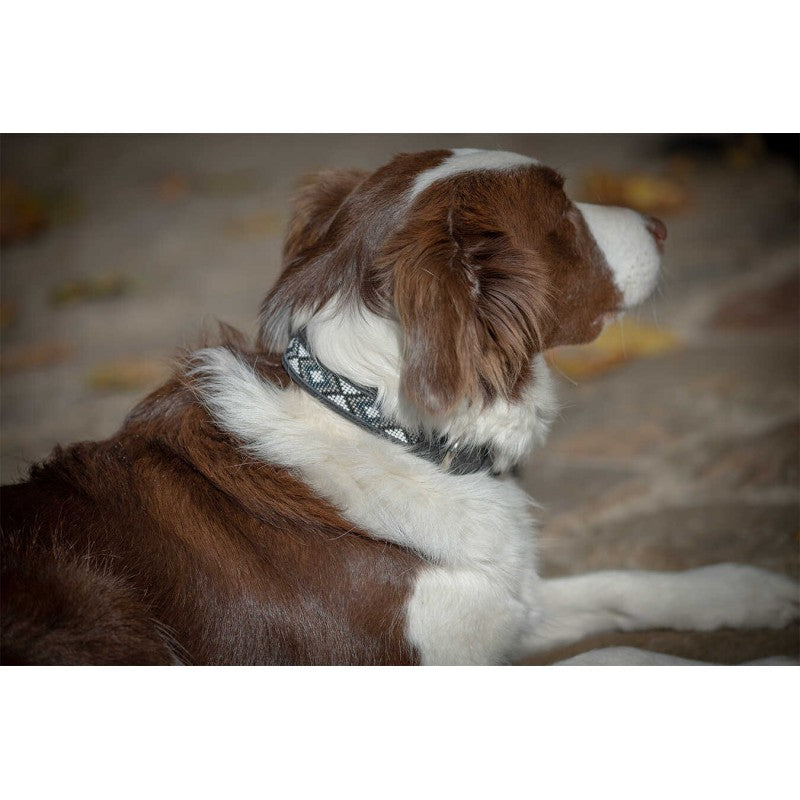 PENELOPE „Pearl" Hundehalsband