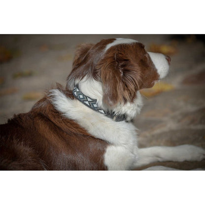 PENELOPE „Pearl" Hundehalsband