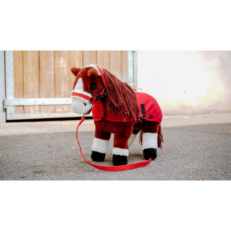 Equithème Pony Academy - Jumpy