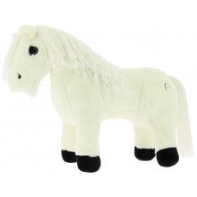 Equithème Pony Academy - Pony