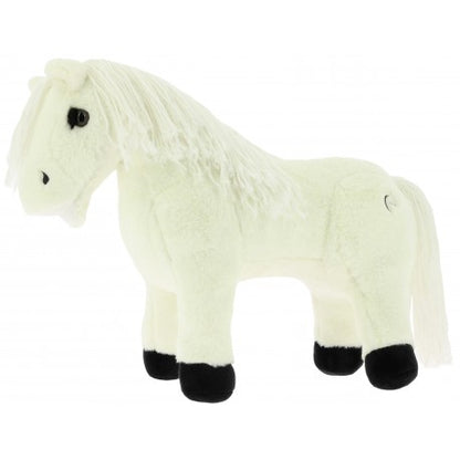 Equithème Pony Academy - Pony