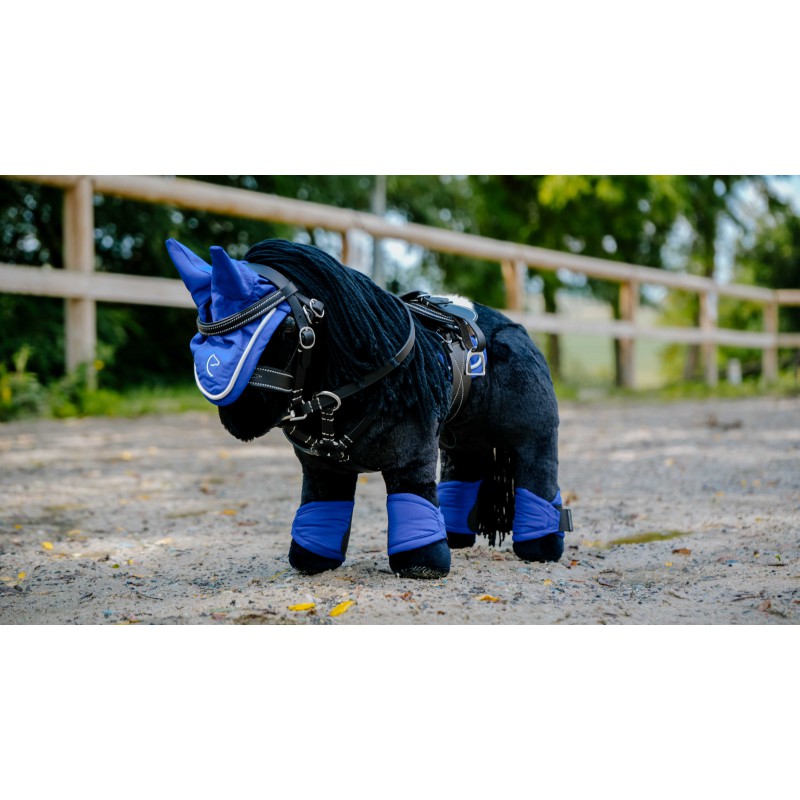 Equithème Pony Academy - Pony