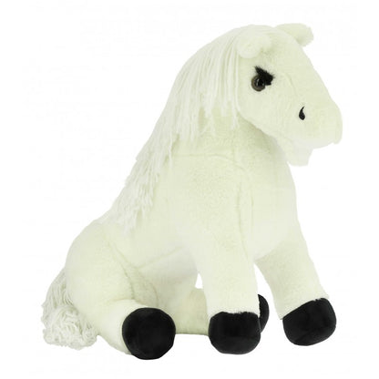 Equithème Pony Academy - Pony