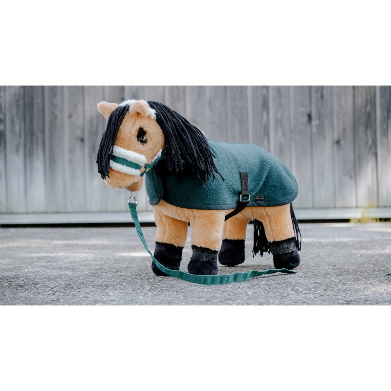 Equithème Pony Academy - Pony