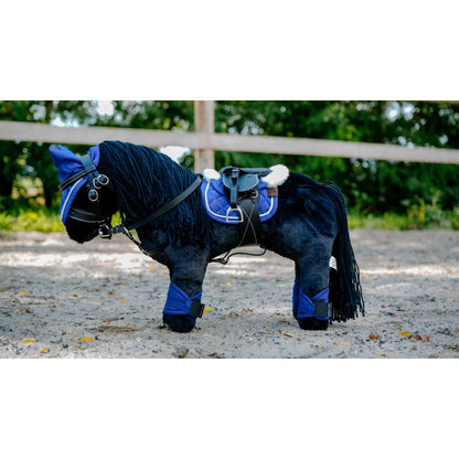 Equithème Pony Academy - Pony