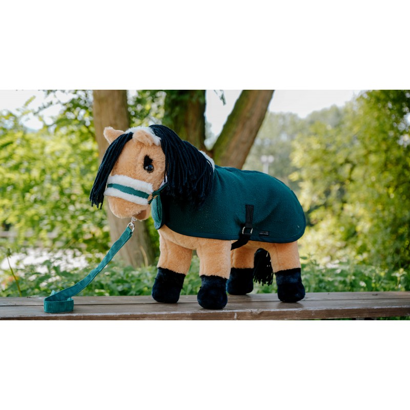 Equithème Pony Academy - Pony