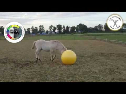 Excellent Horse Maximus Power Play Ball