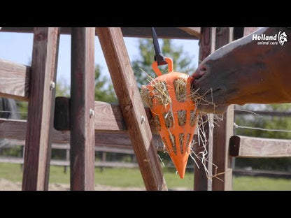 Hay Slow Feeder Fun & Flex Carrot
