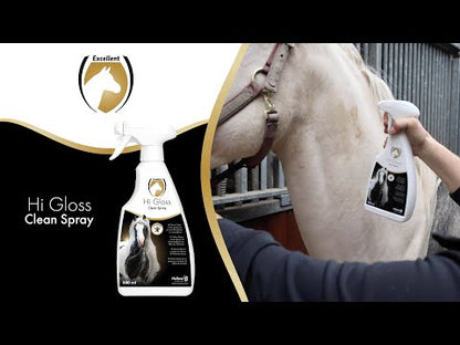 Hi Gloss Clean Spray
