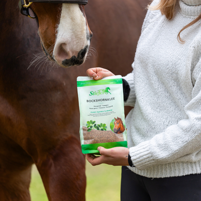 Stiefel Bockshornkleesamen 1 kg