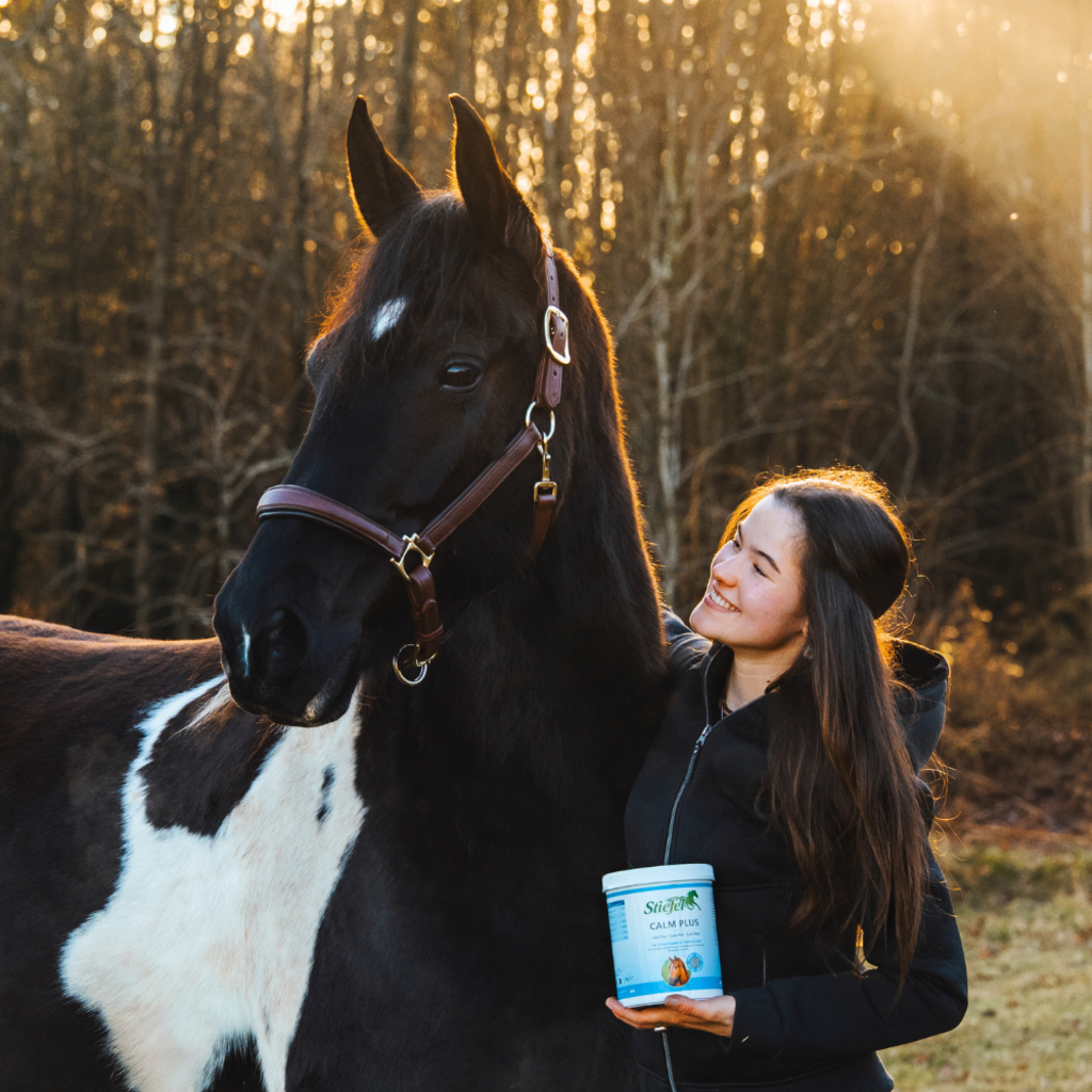 Stiefel Calm Plus 1kg