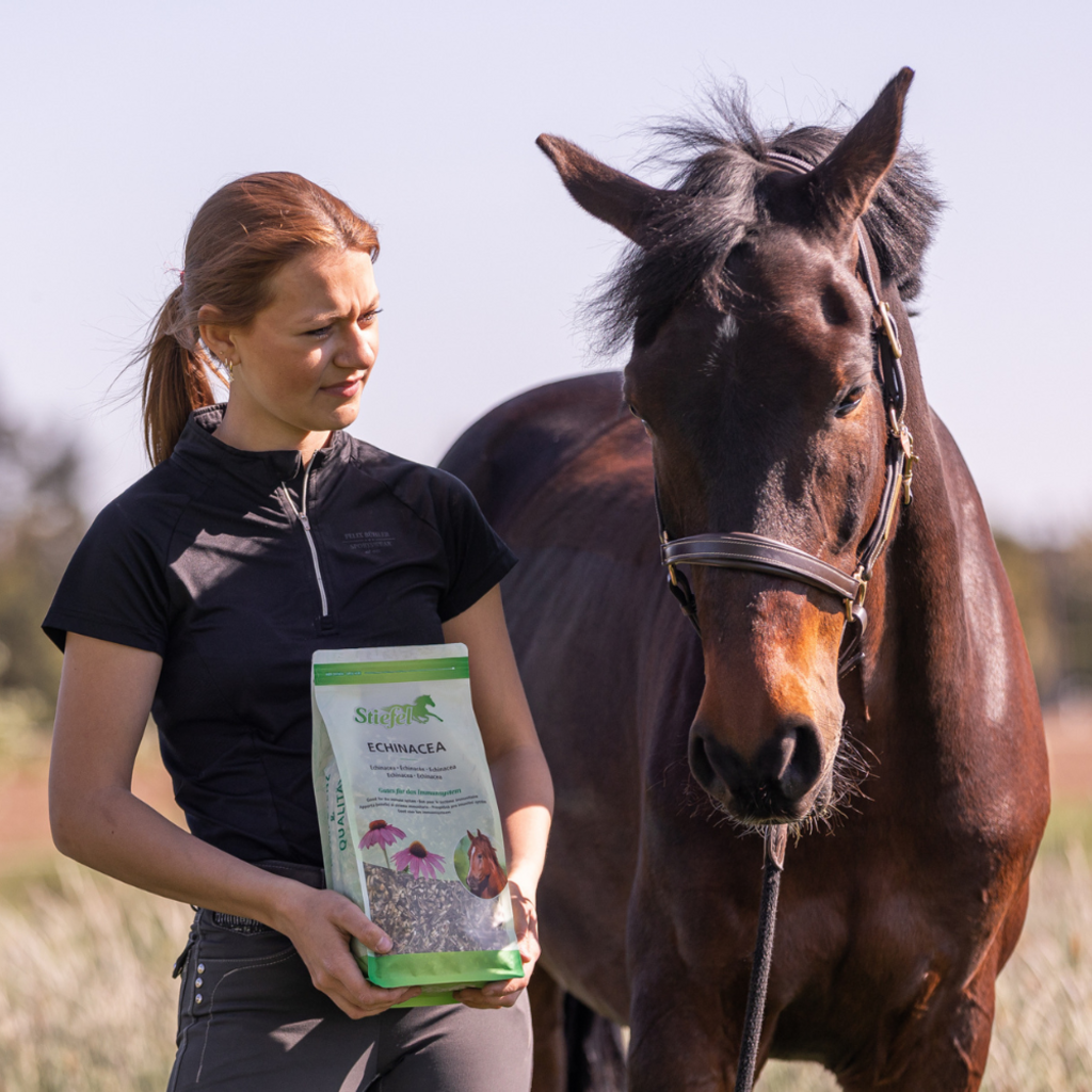 Stiefel Echinacea geschnitten 500g - Kaster Cheval