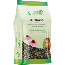 Stiefel Echinacea geschnitten 500g - Kaster Cheval