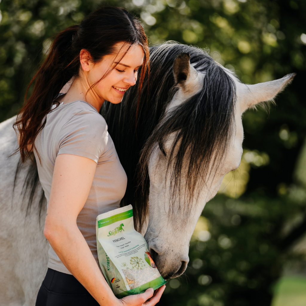 Stiefel Fenchel, Samen 500g - Kaster Cheval