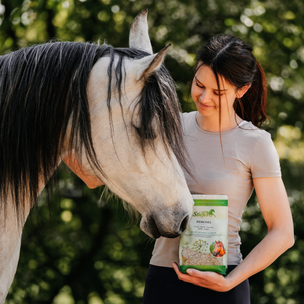 Stiefel Fenchel, Samen 500g - Kaster Cheval
