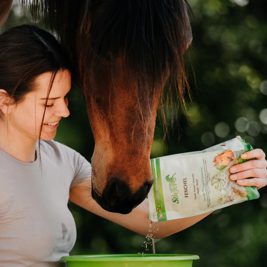 Stiefel Fenchel, Samen 500g - Kaster Cheval