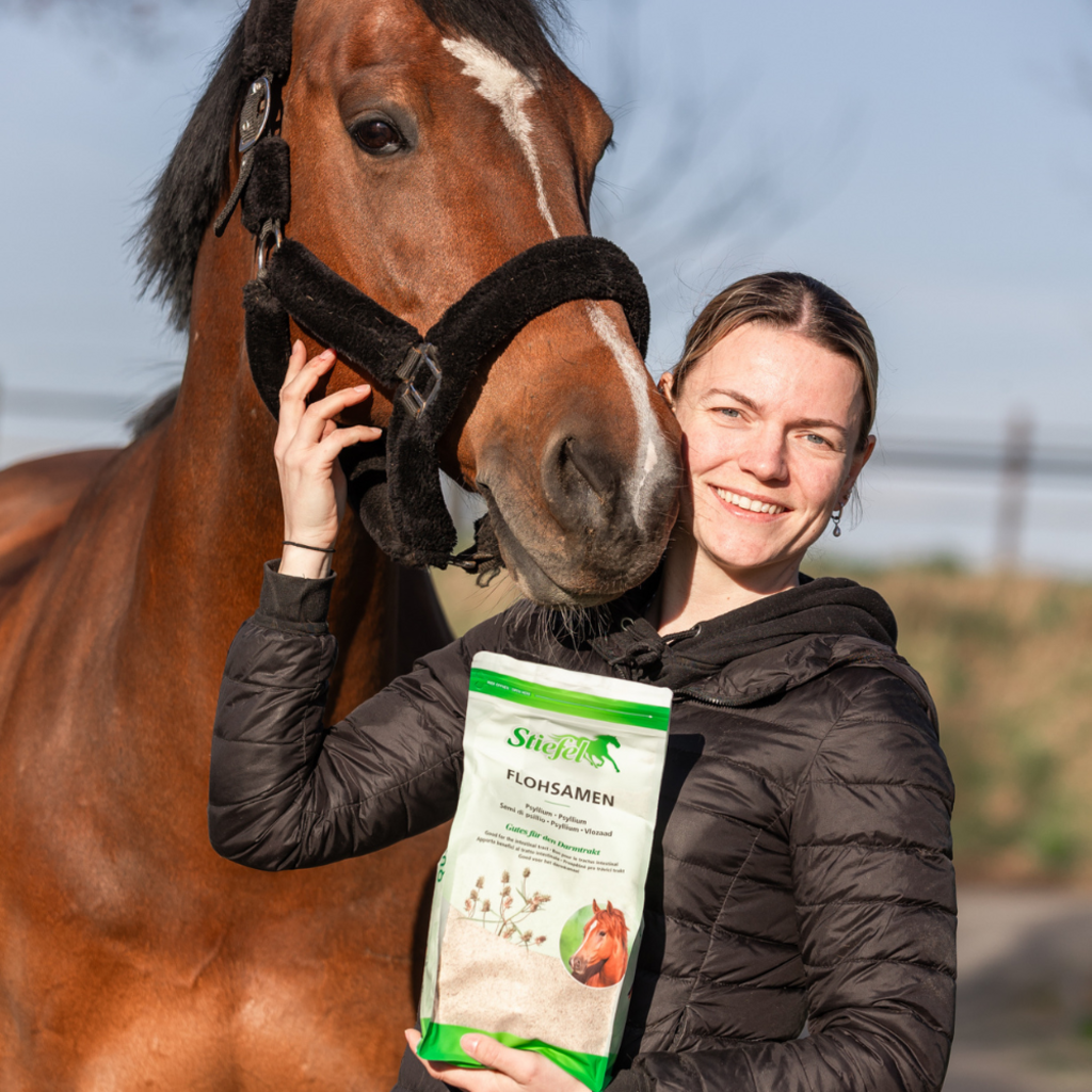 Stiefel Flohsamen, Schalen 1kg - Kaster Cheval