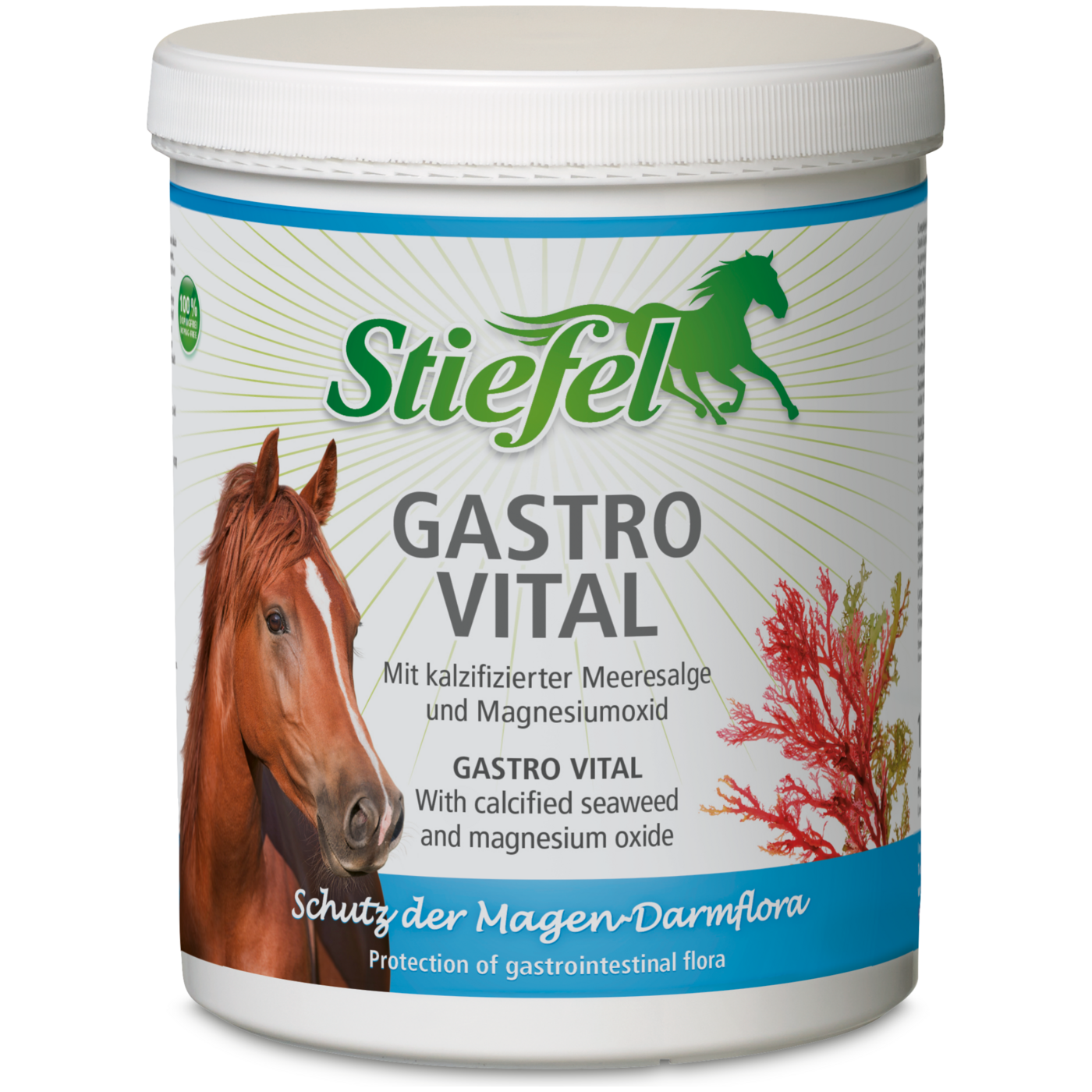 Light Gray Stiefel Gastro Vital, 1 kg